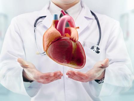 Cardiology Hospital Rewa