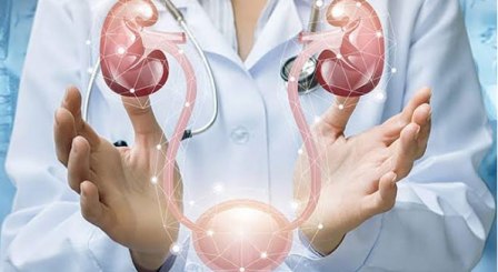 urology Hospital Rewa